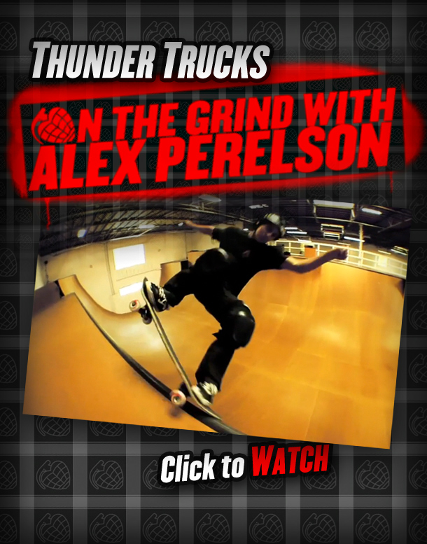 th_Perelson_flyer