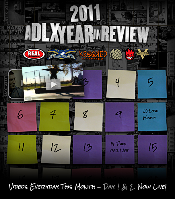dlx-2011-review-flyer