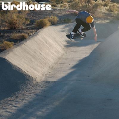 New from Birdhouse