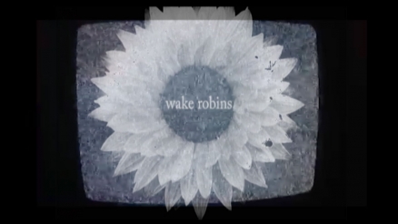 Wake Robins&#039; &quot;Wheel of Sharp Weapons&quot; Video