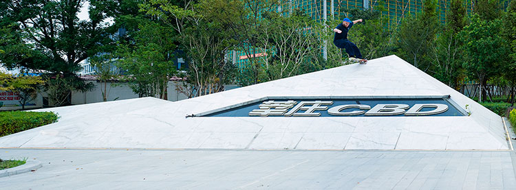 Laurence Keefe Tailslide Transfer Pano 750px