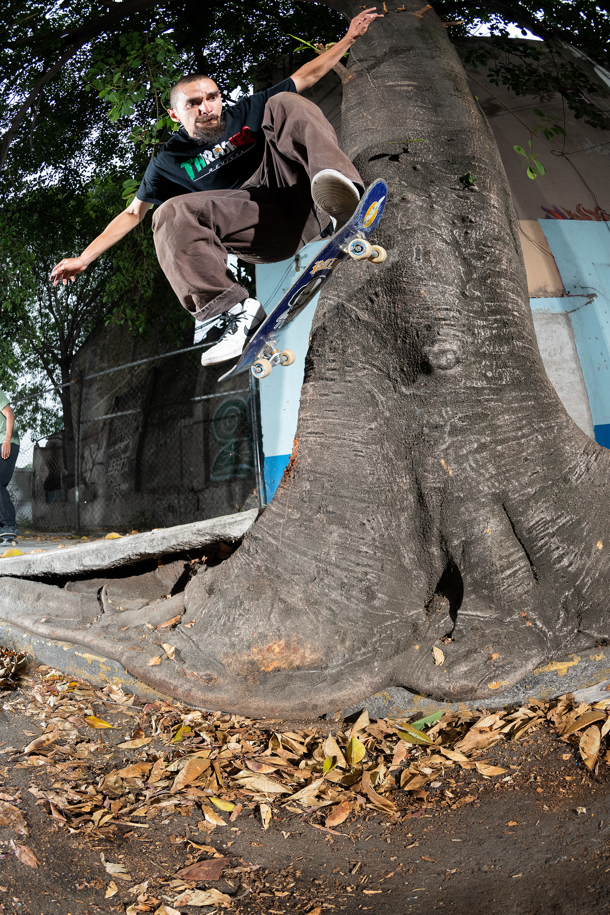 Adán mongo belÍo tree wallie mx 2023 brook DZ