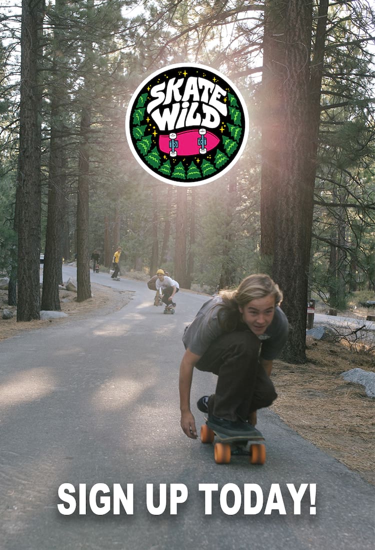 SW downhill skate wild ad 1500