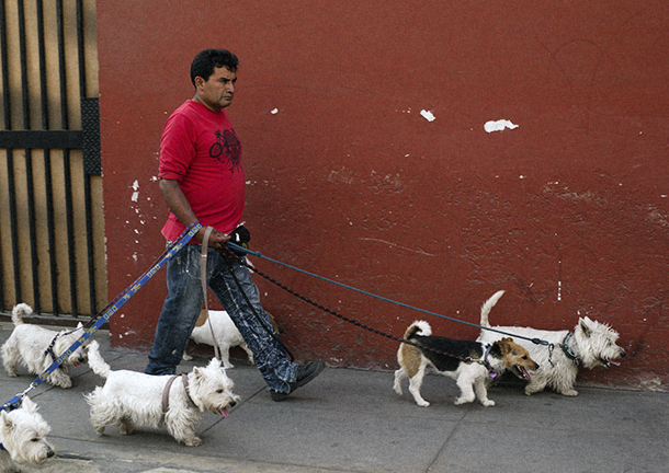 Burnout: Peruvian Press