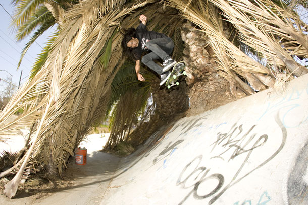 Adrian-Mallory-tubular-kickflip