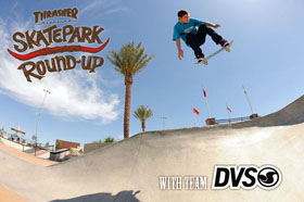 SkateparkRoundup_DVS