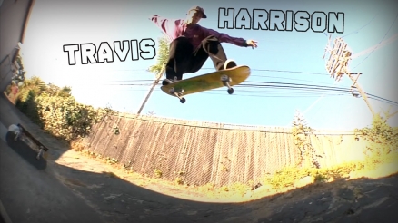 Travis Harrison's 