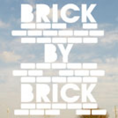 Buy A Brick, Build A Skatepark