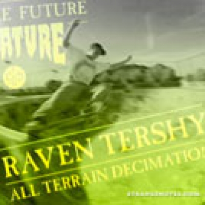 Raven Tershy Remix