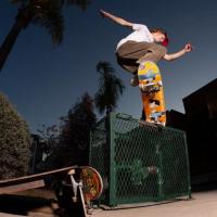 Travis Harrison Skates The Hole-y Grails