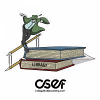 2021 CSEF Skateboarding Scholarship Recipients