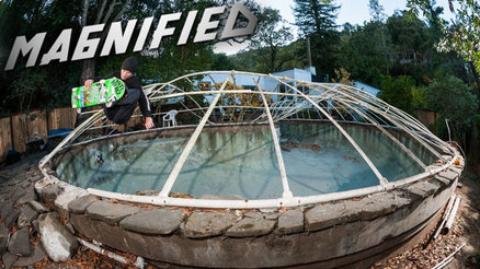 Magnified: Jack Fardell